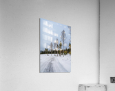 Winter Trees Acrylic Print