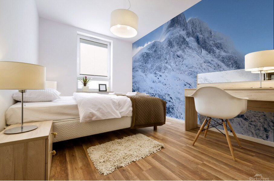 The Peak  Mural print