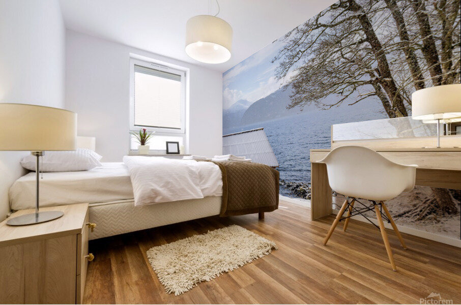 Norway Winter 2 Mural print