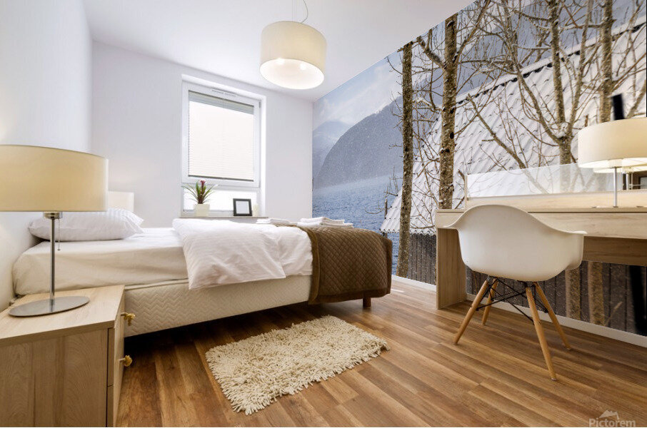  Norway Winter 1 Mural print