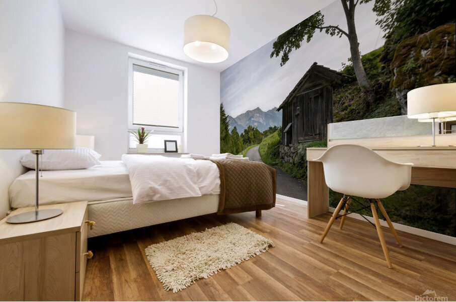 Switzerland Shed Mural print