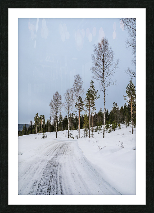 Winter Trees Picture Frame print