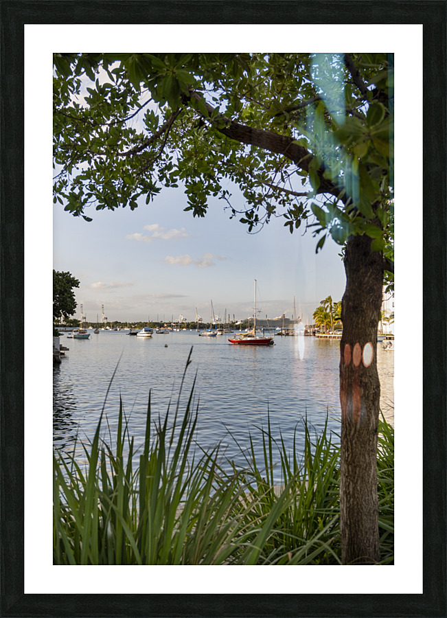 Miami Florida Picture Frame print