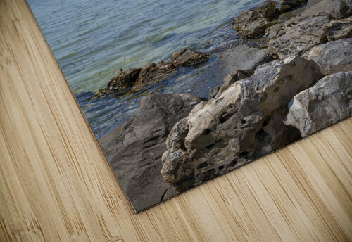 Tampa Causeway Andy Pineiro puzzle