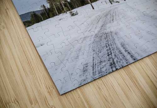 Winter Trees Andy Pineiro puzzle
