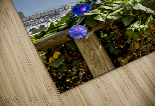 Barcelona Andy Pineiro puzzle