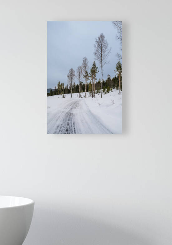 Winter Trees Reproduction