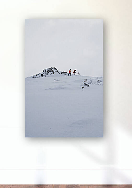 Winter Hike Reproduction