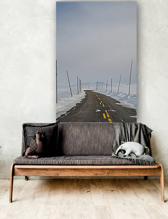 Winter Road Reproduction