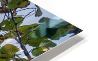 Varadero Beach HD Metal print