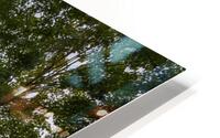 Switzerland Shed HD Metal print