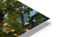 Miami Florida HD Metal print