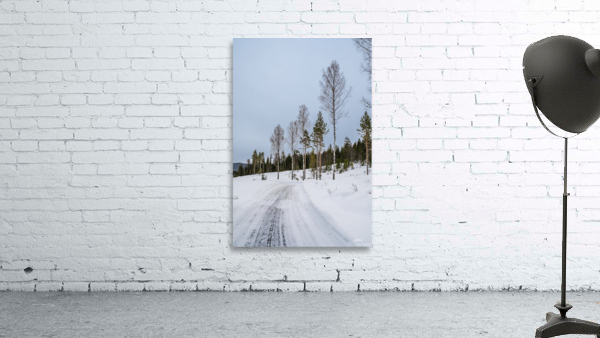 Winter Trees Wall Preview