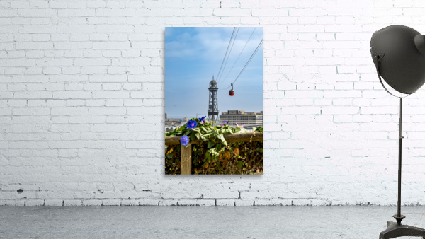 Barcelona Wall Preview
