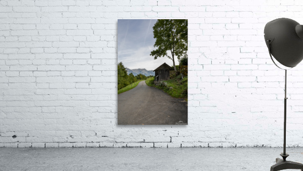 Switzerland Shed Wall Preview