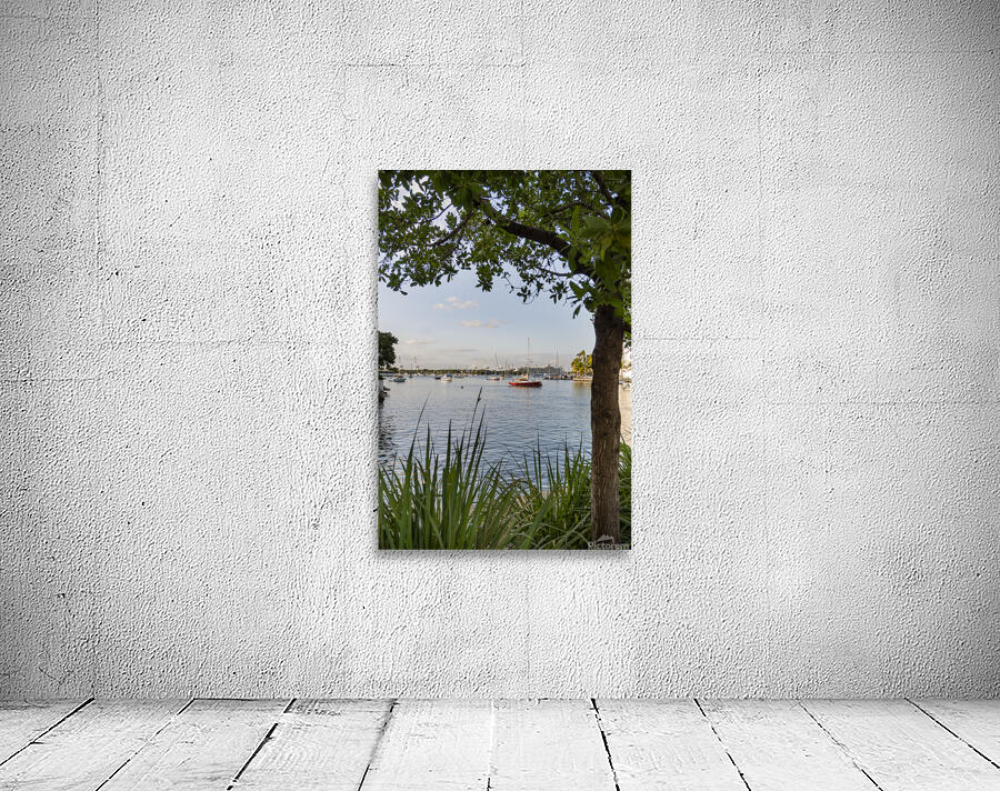 Miami Florida Wall Preview