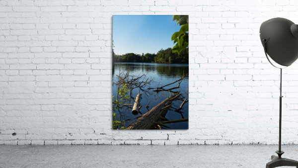 Lake Logs Wall Preview