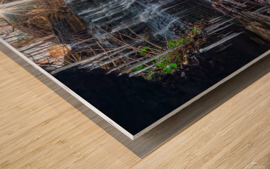 B58A0069 Machine Falls Wood print