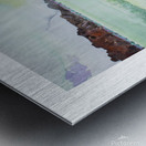 Border Cow Metal print