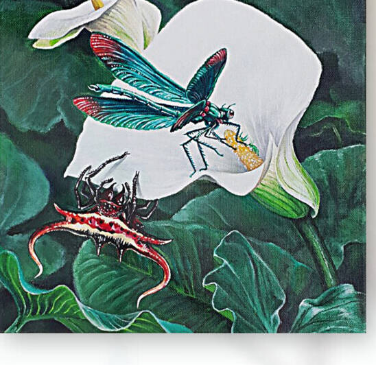Arum Lily with Bugs by Zakuns