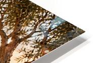 Built quietly. Carried boldly. HD Metal print