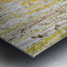  RON2945 Metal print