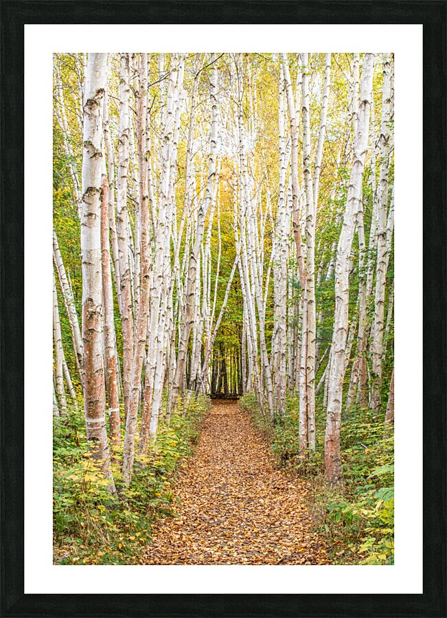  RON2945 Picture Frame print