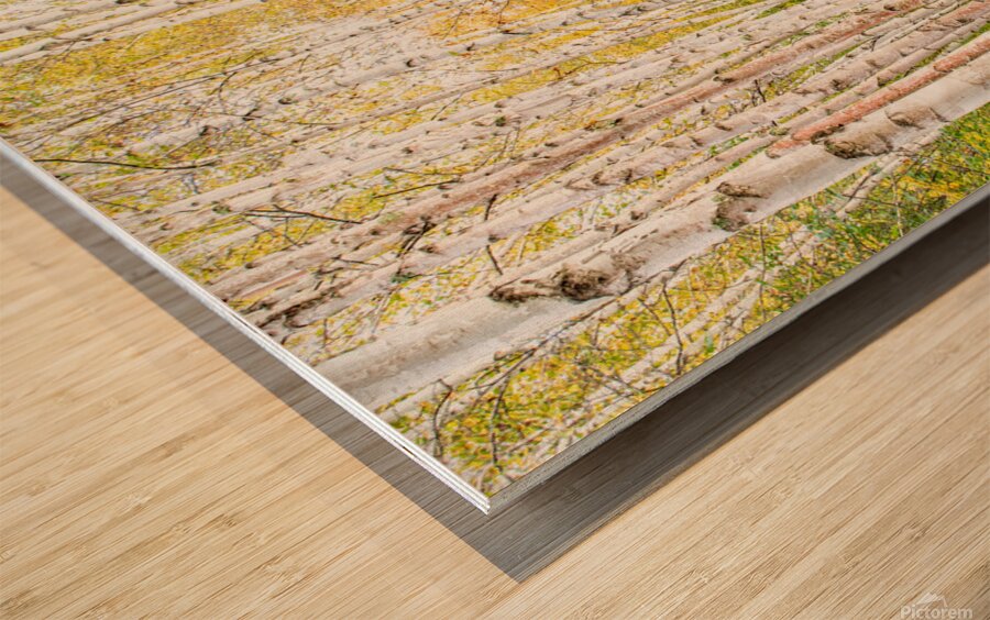  RON2945 Wood print
