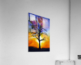 Natures Dichotomy Acrylic Print