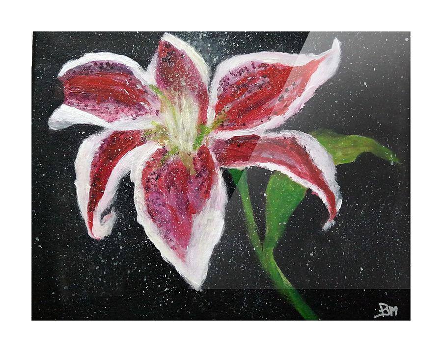 Star Struck Picture Frame print