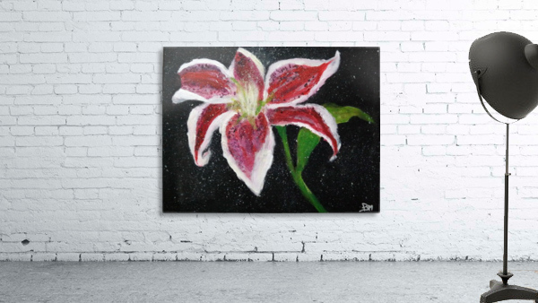Star Struck Wall Preview