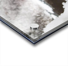 One for the Ring-- Winter Acrylic print