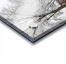 Parade Ground-- Winter Acrylic print