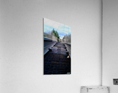 Tracks Acrylic Print