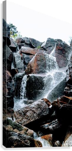 Zealand Falls NH Canvas Print