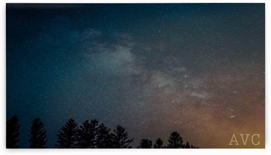 Goodnight Forest by Angelina V Coronado