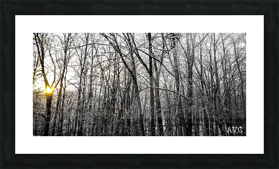 Through the Icy Trees Picture Frame print