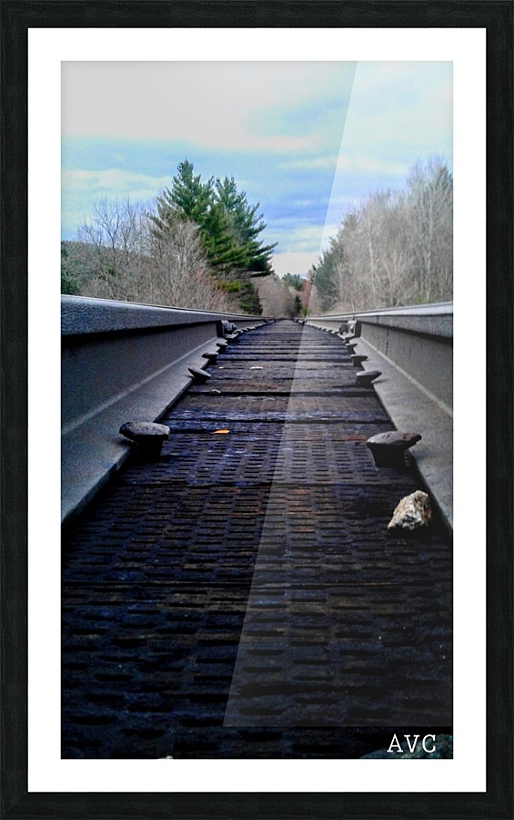 Tracks Picture Frame print