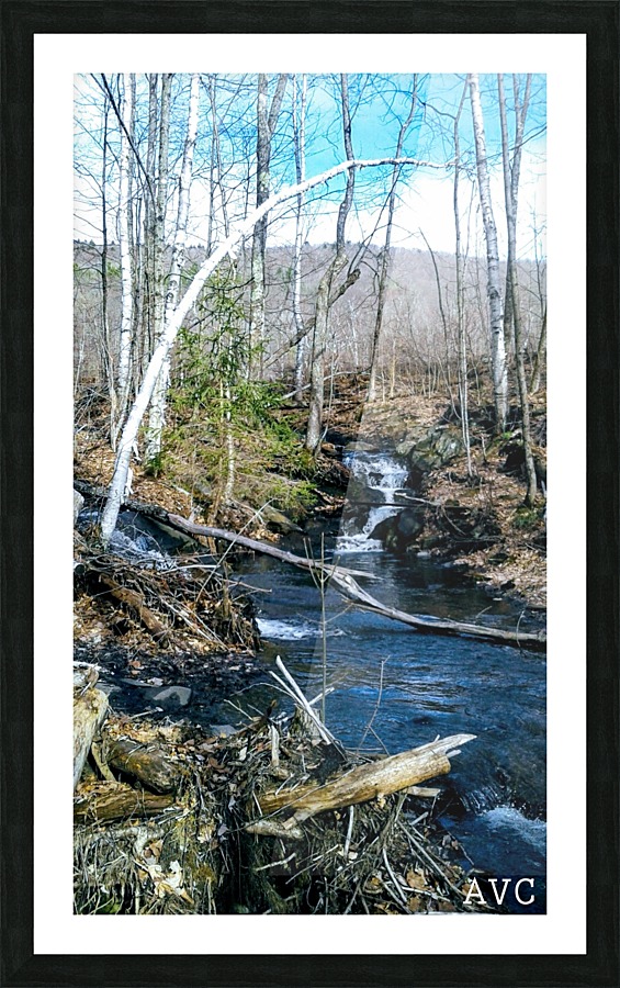 Brook through the Forest Picture Frame print