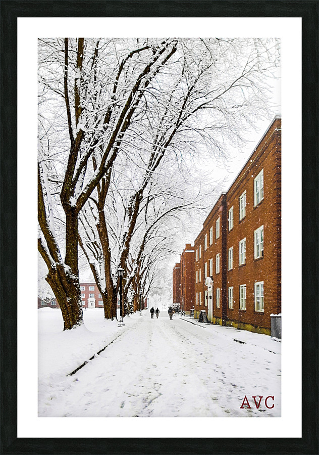 Walk on the UP Picture Frame print