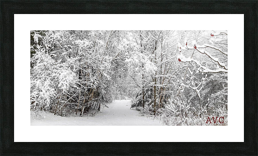 Winter Wonderland Picture Frame print