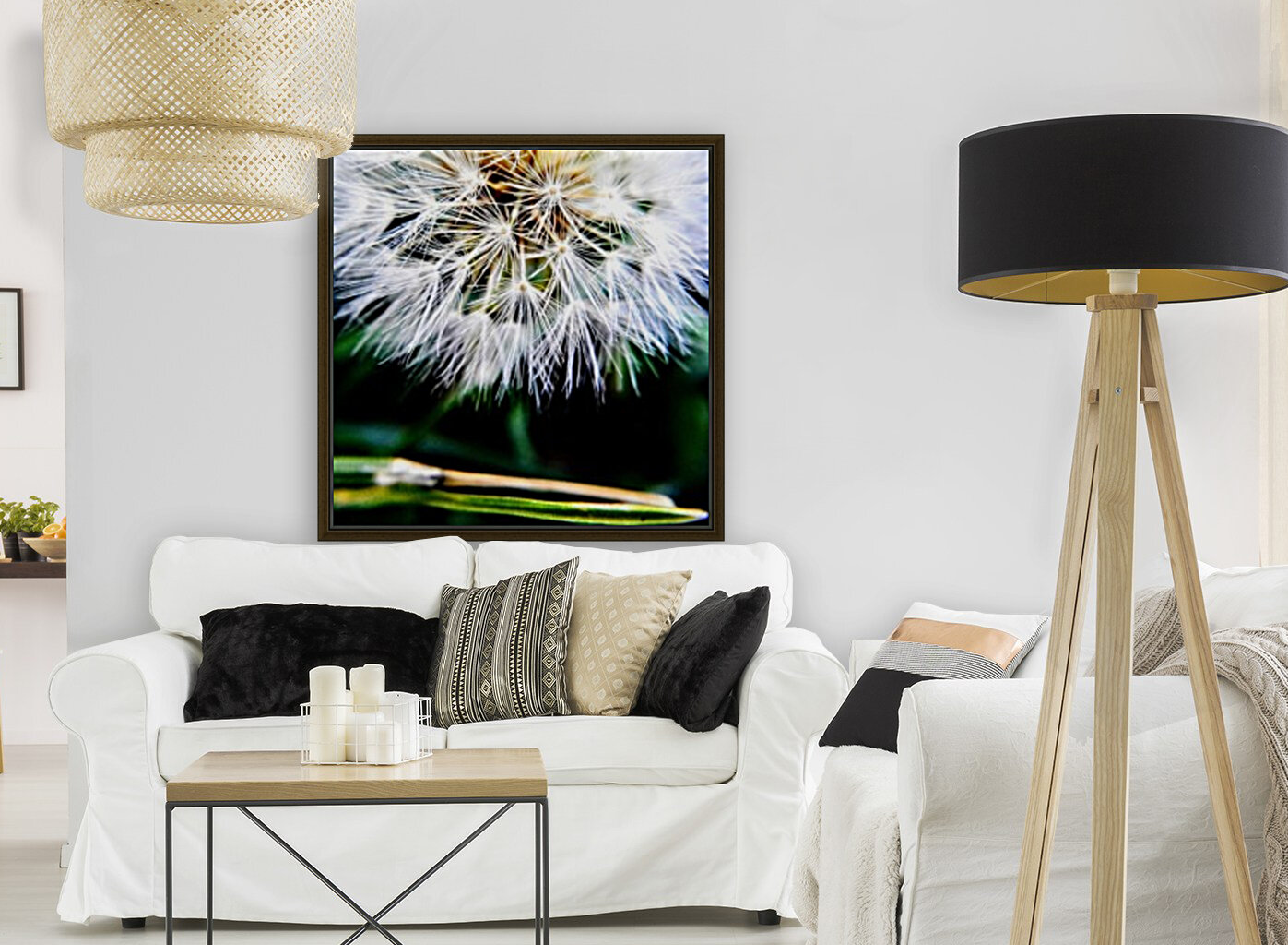 Dandelion Fluff Reproduction