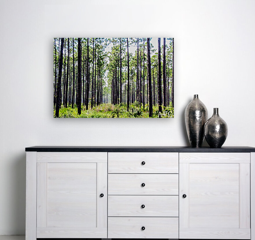 Forest Escape Reproduction