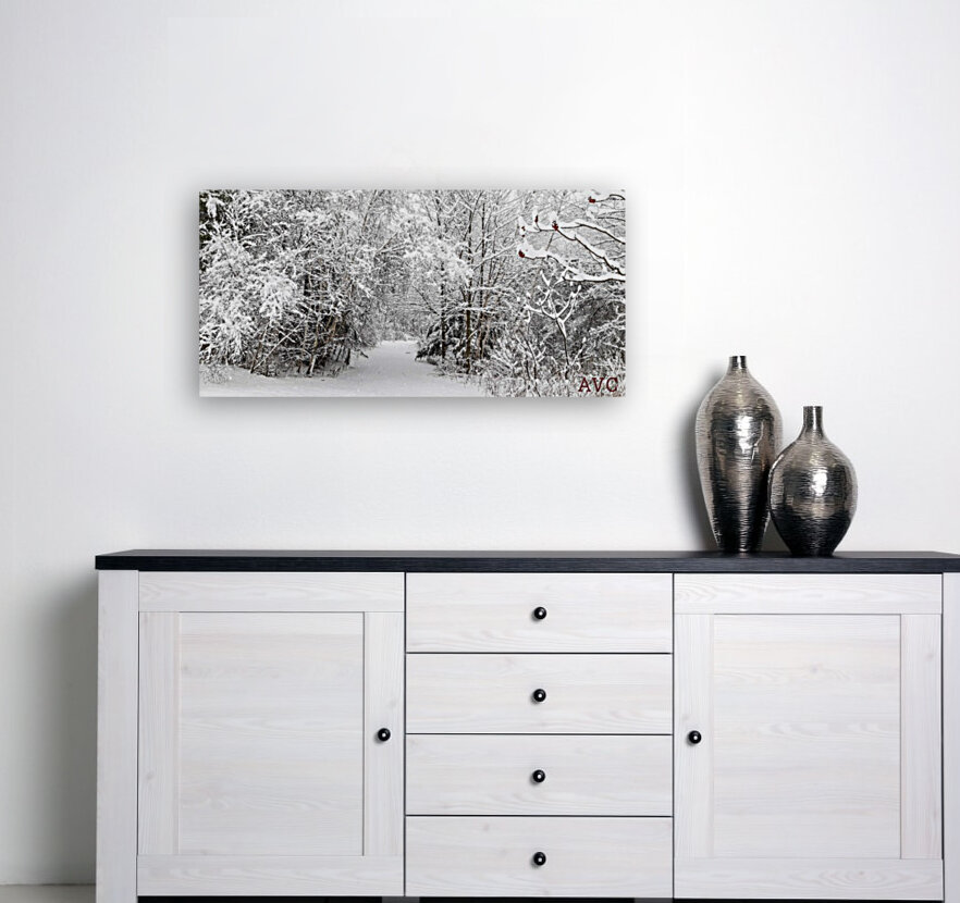 Winter Wonderland Reproduction