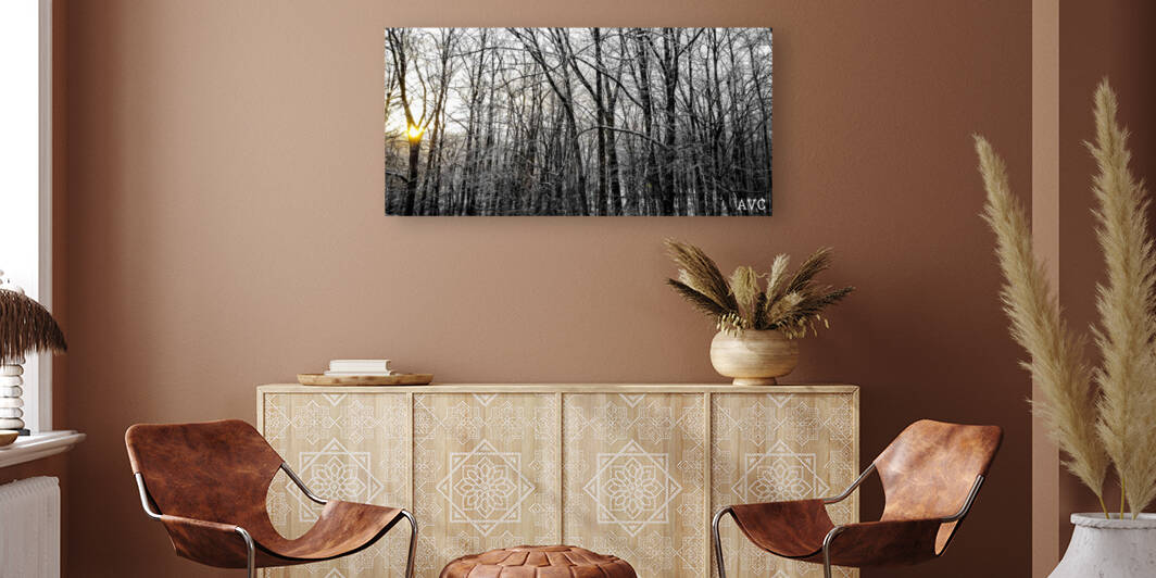 Through the Icy Trees Reproduction