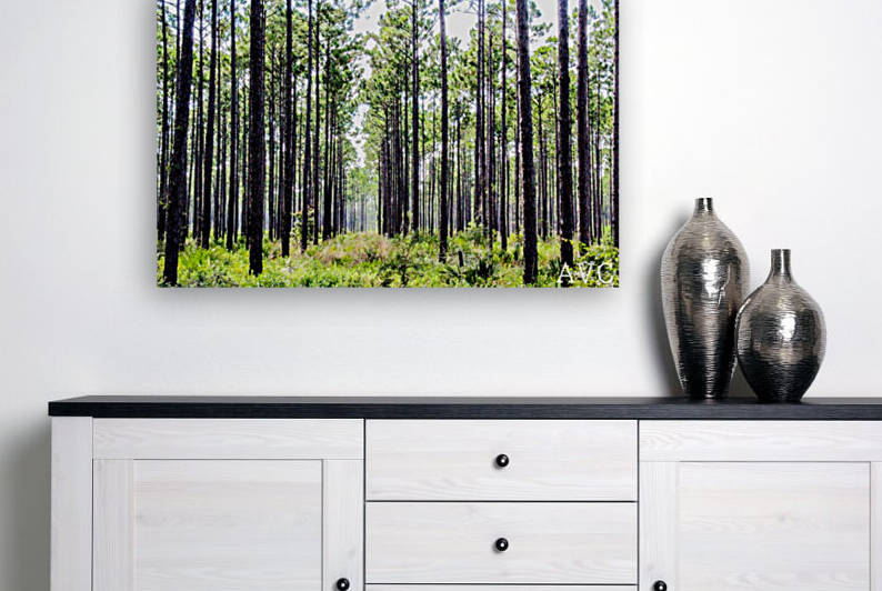 Forest Escape Reproduction