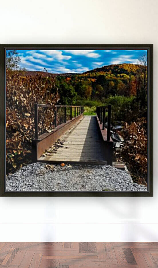 Rugby Pitch Bridge-- Autumn by Angelina V Coronado