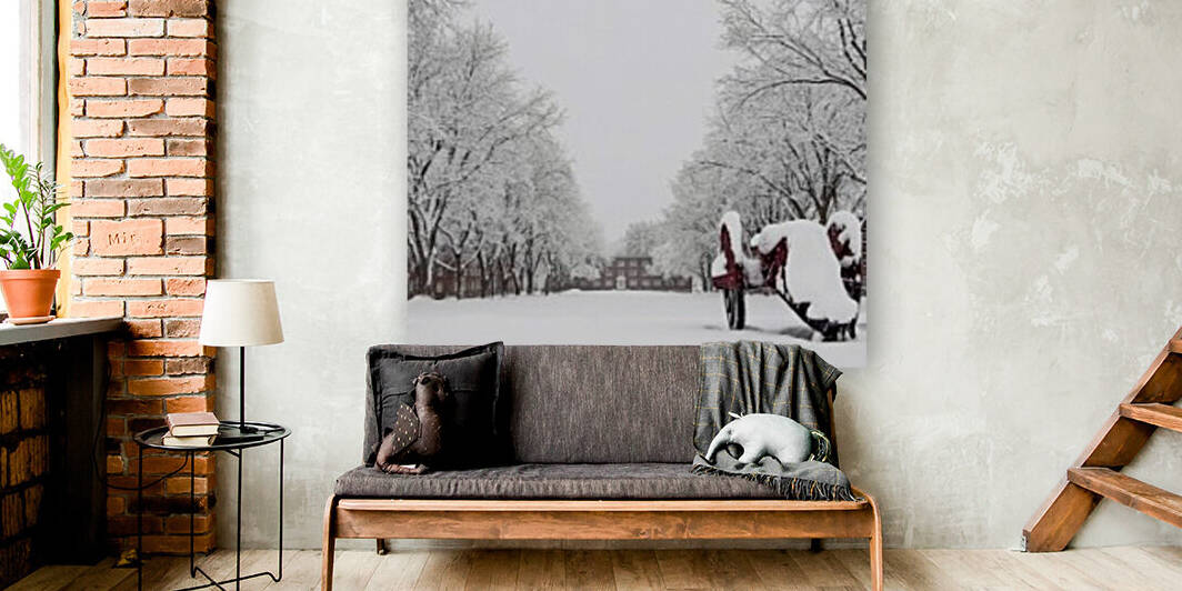 Parade Ground-- Winter by Angelina V Coronado
