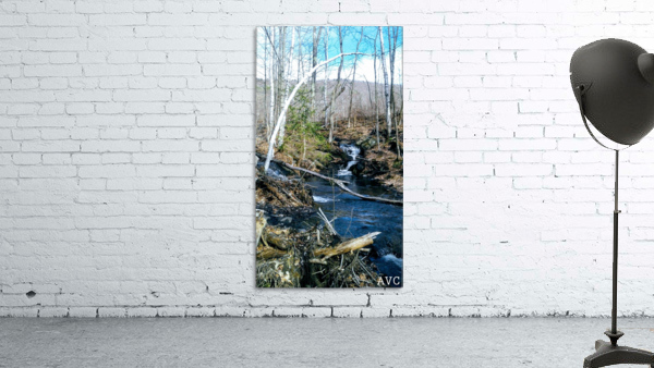 Brook through the Forest Wall Preview