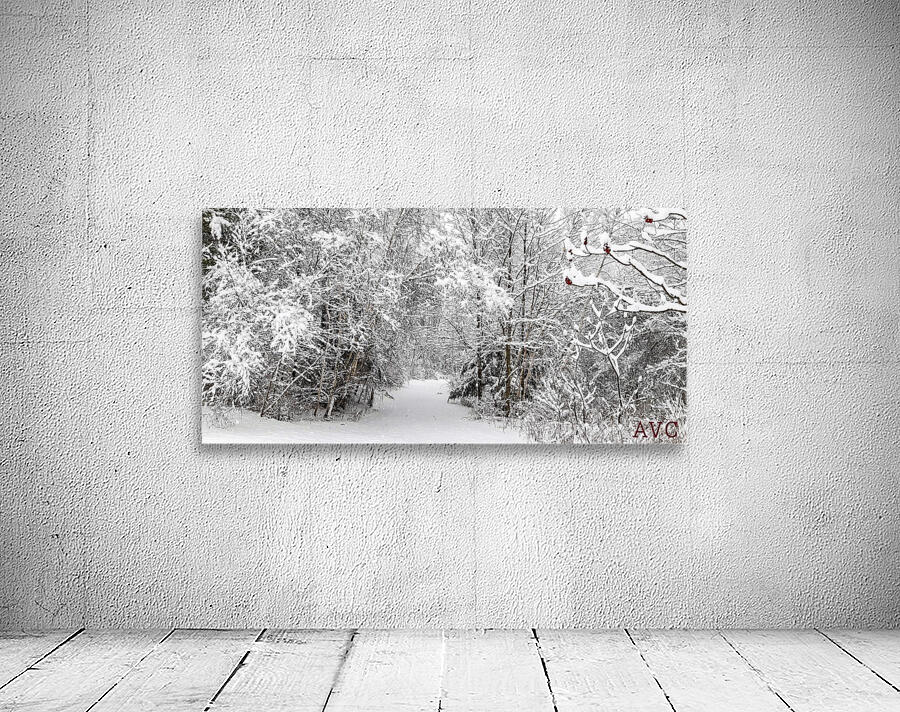 Winter Wonderland Wall Preview